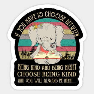 Being Kind Being Right Sticker